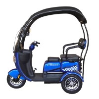 Электротрицикл Fududu Q8 Синий